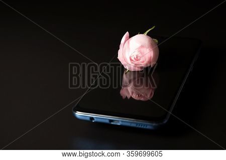 Pink Rose And Its Reflection On The Phone On A Black Background, Side View.