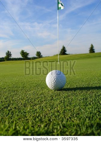 Pelota de golf en curso retrato