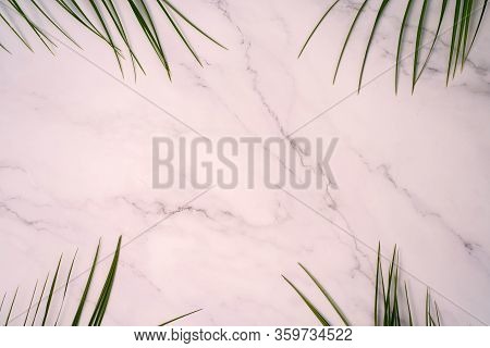 Tropical Green Palm Leaf On Pink Marble Background. Flat Lay, Top View. Copy Space For Your Text. Su