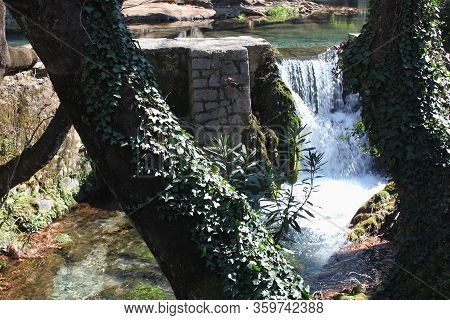 Springs Of Kryas In Livadeia Boeotia Greece