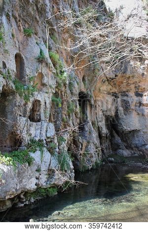 Springs Of Kryas In Livadeia Boeotia Greece