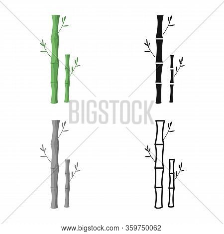 Vector Design Of Bamboo And Tree Icon. Collection Of Bamboo And Green Stock Vector Illustration.