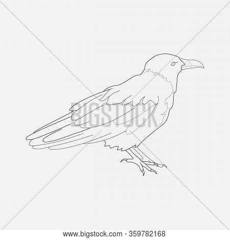 Crow Icon Line Element. Vector Illustration Of Crow Icon Line Isolated On Clean Background For Your 