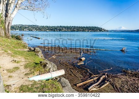 A View Of Waterfront Mercer Island Homes On Lake Washington.