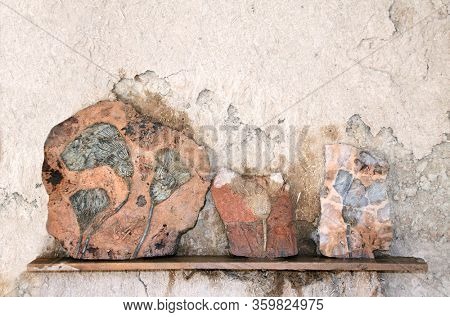 Petrified fossil crinoids (sea lilies, featherstars) in stone on a shelf on an adobe wall