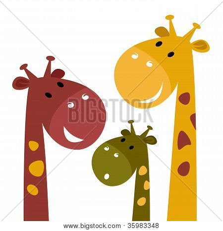 Cute giraf familie isoleret på hvid