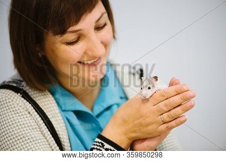 Woman Holds White Furry Little Mouse On White Background. Cute Young Mice In Hands Of Veterinarian. 