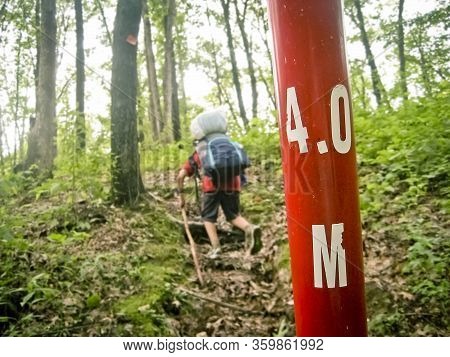 Young Backpacker On The Trail Next To A Four Mile Marker Post