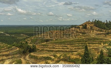 Destroyed Deforested Vast Land Ready For Palm Oil Plantations Greed Destructs Ecosystems And Wildlif