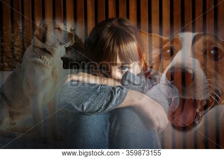 Cynophobia Concept. Double Exposure Of Scared Little Girl And Dogs