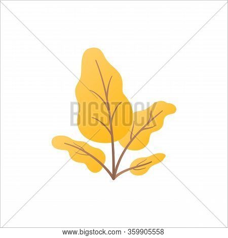 Exotic Tropical Indoor Plant Isolated On White Background. Floral Element Template In Gradient Color