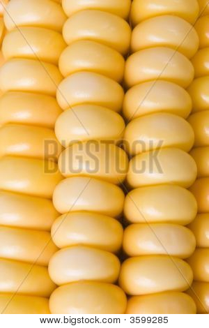 Tuore sokerimaissi