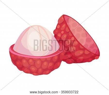 Lychee Fruit With Sweet Flesh In Rough Red Skin Vector Illustration