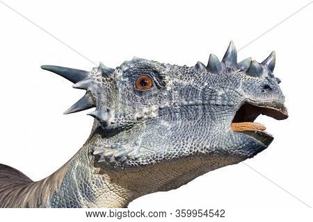 Portrait Of An Herbovire Dinosaur Called Stygimoloch On White Background. Fight, Animal With Armored