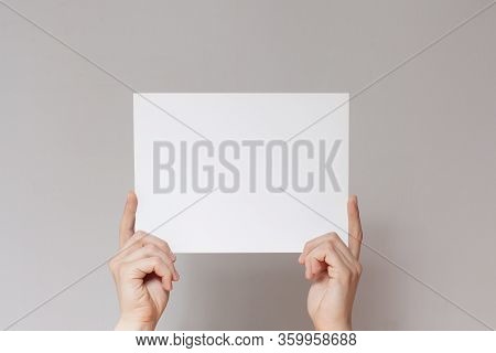 Hands Hold A  Sheet. Empty Space For The Label.