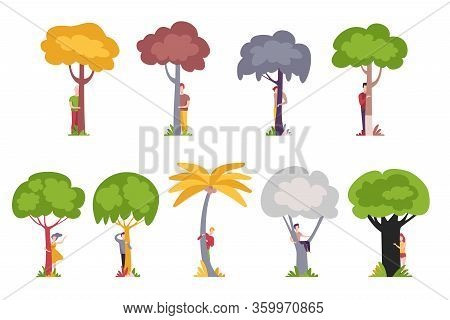 People Standing Behind Trees, Men And Women Hiding And Peeking Behind Tree Trunks Vector Illustratio