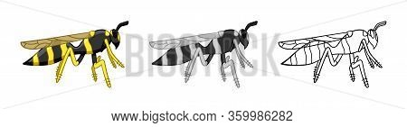 Profile View Wasps Set In Different Styles Isolated Illustration On White Background