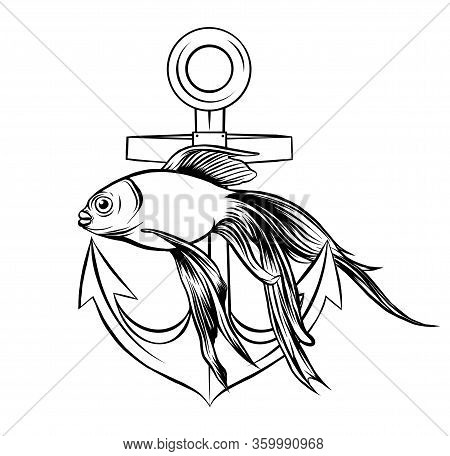 Vector - Gold Fish, Carassius Auratus, Fresh Water Aquarium Fish