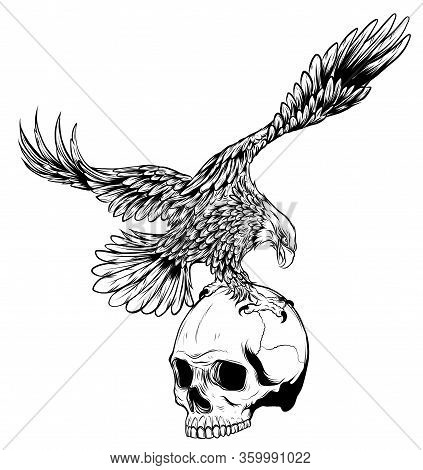 Eagle And Skull Vector Illustration Design Art