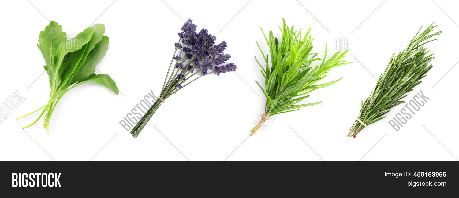 Set Different Aromatic Image & Photo (Free Trial) Bigstock