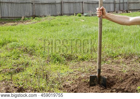 Cultivation Of Cultivation Of The Land. Shovel And Garden. Rural Industry. Agronomy And Agriculture.