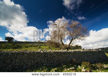 Paisagem siciliana
