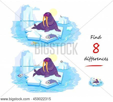 Find 8 Differences. Illustration Of Walrus On An Ice Floe. Logic Puzzle Game For Children And Adults