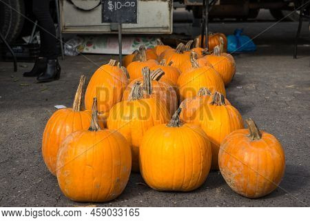 Several Pumpkins Are Arranged For Display At A Fruit And Vegetables Street Market In Union Square, A