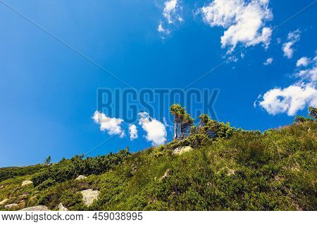 Slovakian Chopok Low Tatra Landscape