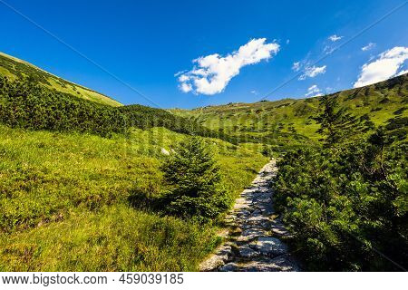 Slovakian Chopok Low Tatra Landscape