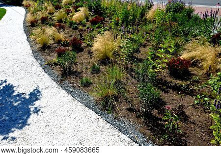Beds Of Newly Planted Flowers Are Planted And Mulched With Bark. Bluebells And Cypresses, Paths Stre