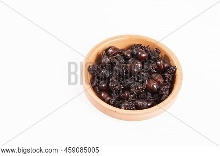 Ants Culonas Typical Gastronomy Of Santander Colombia; Photo White Background
