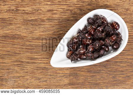 Ants Culonas Typical Gastronomy Of Santander Colombia; Photo On Wood Background