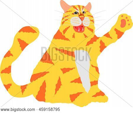 The Lovely Yellow And Orange Striped Cat Sit And Raise One Legs On Left Side.