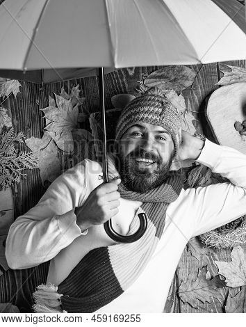 No More Rain. Time To Rest. In Love With Nature. Any Weather Is Good. Bearded Man Among Autumn Maple