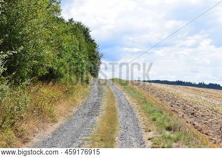 Dirt Road In The Eifel During Summer
