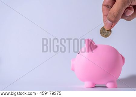 Save Money And Account Banking For Finance Concept, Piggy Bank With Coin On Blurred Background, Save