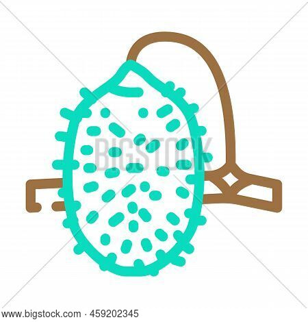 Cucumber Anguria Color Icon Vector. Cucumber Anguria Sign. Isolated Symbol Illustration