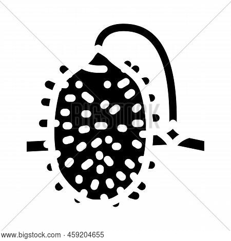 Cucumber Anguria Glyph Icon Vector. Cucumber Anguria Sign. Isolated Symbol Illustration