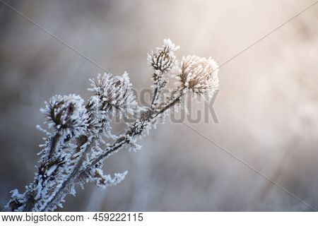 Beautiful Winter Landscape With Girskiy Tikych River Running Through Frosted Trees And Rocks.