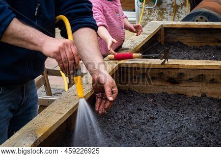 Father And Daughter Garden Together. Man Sprays Hose Water Onto Freshly Planted Seeds Planted In Soi