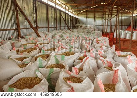 Open Bags Of Coffee Beans Ready For Export