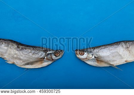 Two Salty Dry Fish On Blue Background With Copy Space. Sabrefish (pelecus Cultratus) - Popular Beer 
