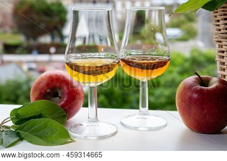 Tasting Of Strong Alcoholic Drink Calvados Made From Apples In Normandy, Calvados Region, France