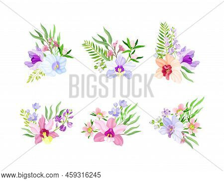 Fragrant Orchid Bloom With Labellum Arranged With Floral Branches Vector Set