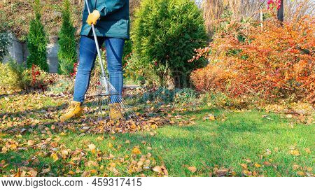 A Woman Gardener Rakes Fallen Leaves In Her Garden Against The Backdrop Of A Beautiful Landscape Des