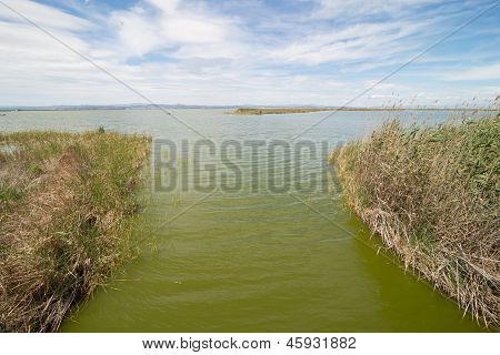 La Albufera, Valencia