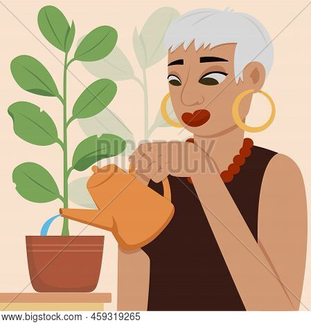Woman Takes Care Of Plants. Woman Takes Care Of Plants. Watering Ficus In Beautiful Pot. Girl Enjoyi