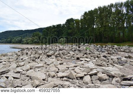 Rocksin The Dry Rhine Riverbed At An Island