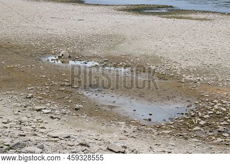 Muddy Ground Of The Rhine During Drought